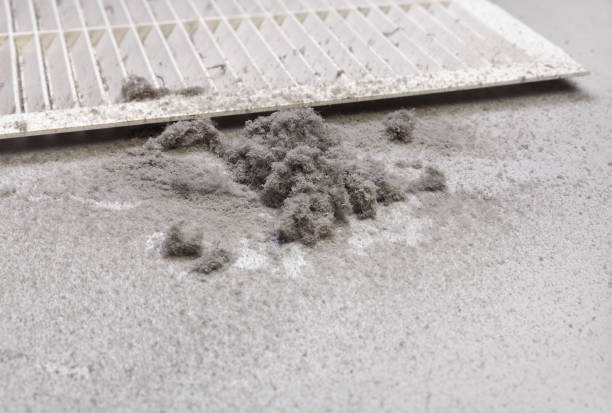 Best Affordable HVAC Duct Cleaning  in Lasalle, IL