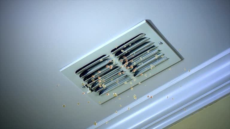 Best Affordable Duct Cleaning Services  in Lasalle, IL