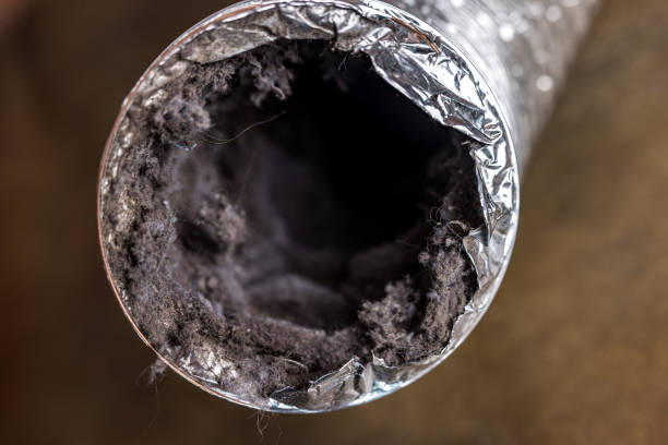 Best Air Duct Cleaning Near Me  in Lasalle, IL