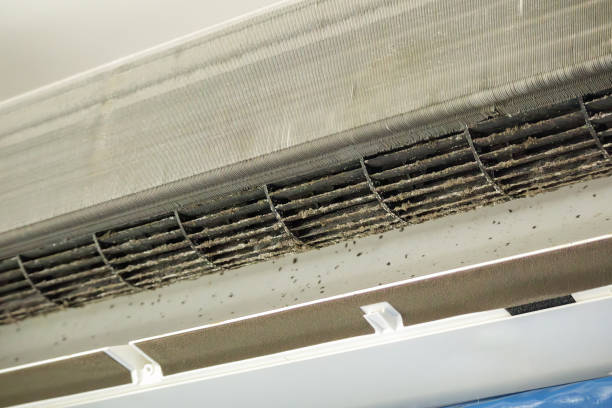 Best Air Duct Cleaning Near Me  in Lasalle, IL